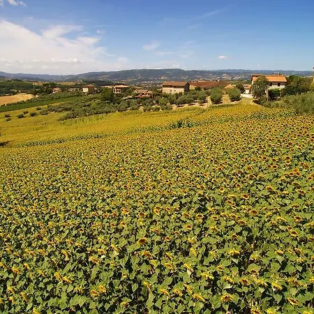 Colle San Giovanni Casa di campagna